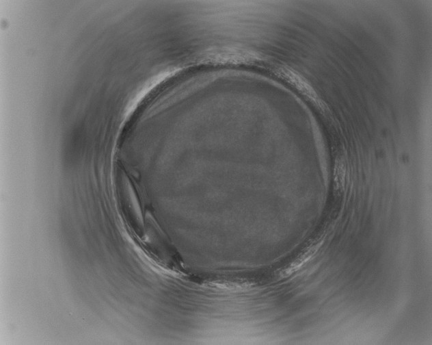 X0000060550722200511241224