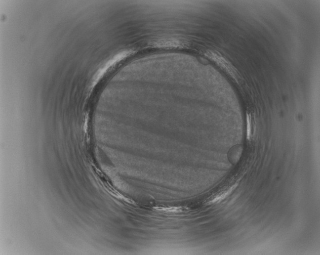 X0000060550723200511241224