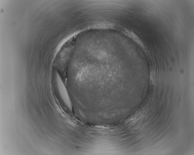 X0000060550724200511241224