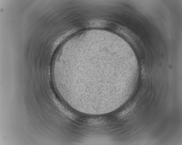 X0000060550725200511241224