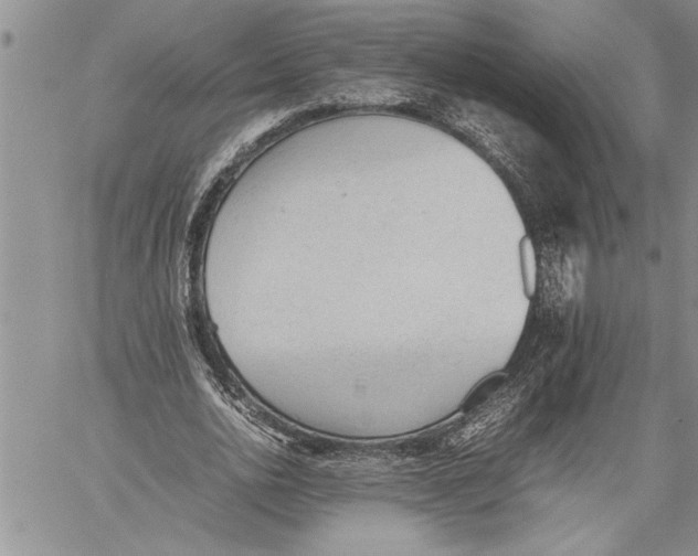 X0000060550726200511241224