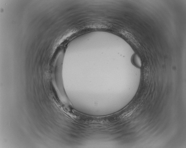 X0000060550727200511241224