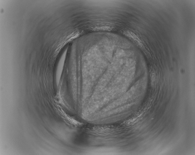 X0000060550729200511241224