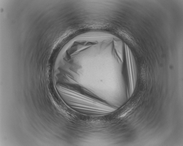 X0000060550730200511241224