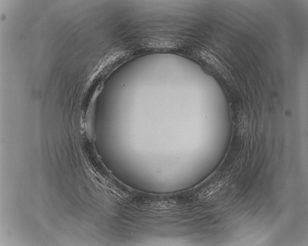 X0000060550731200511241224