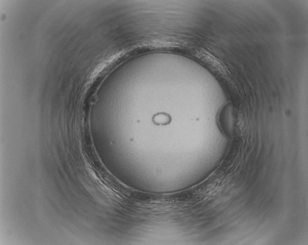 X0000060550732200511241224