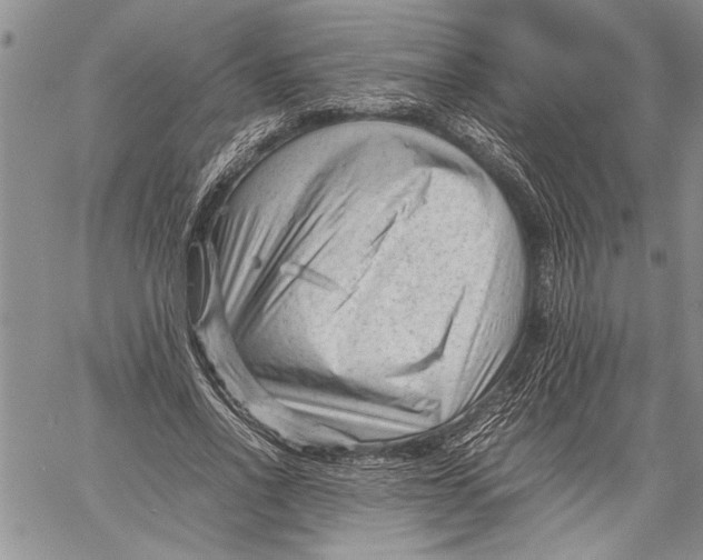 X0000060550734200511241224