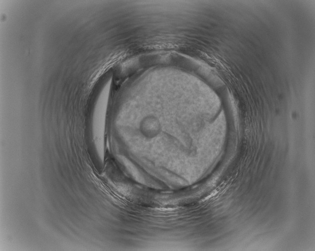 X0000060550735200511241224