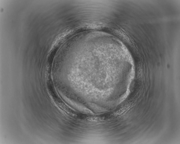 X0000060550736200511241225