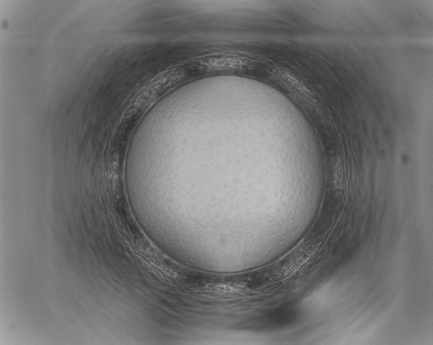 X0000060550737200511241225