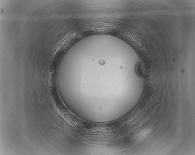 X0000060550738200511241225