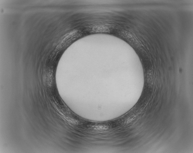 X0000060550741200511241225