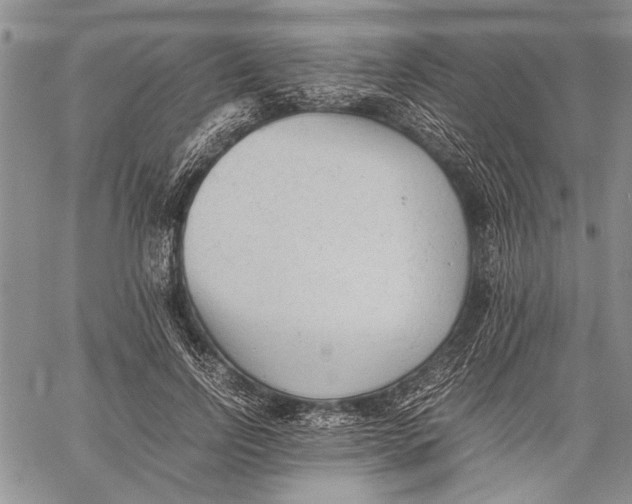 X0000060550742200511241225