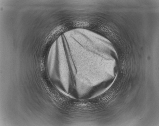 X0000060550743200511241225