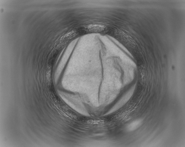 X0000060550745200511241225