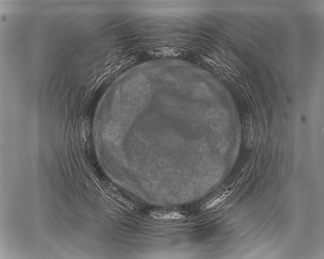 X0000060550747200511241225