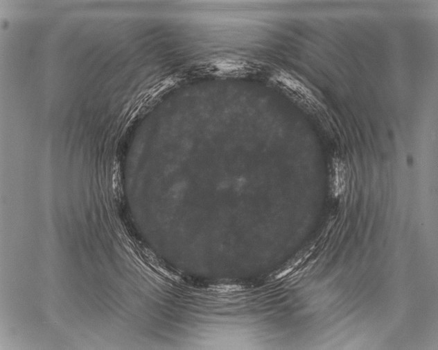 X0000060550748200511241225