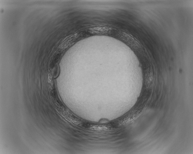 X0000060550749200511241225