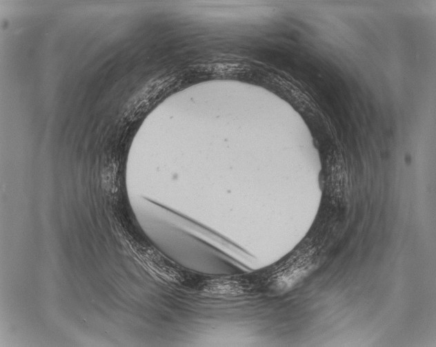 X0000060550750200511241225