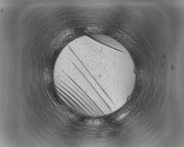 X0000060550751200511241225