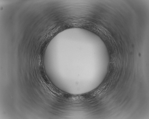 X0000060550752200511241225