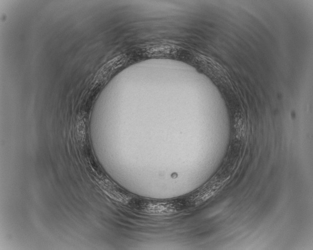 X0000060550753200511241225