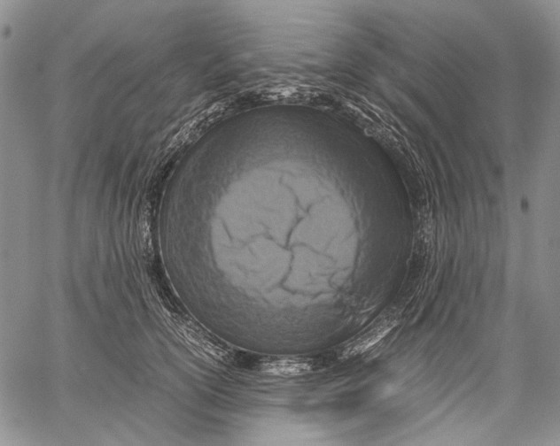 X0000060550754200511241225