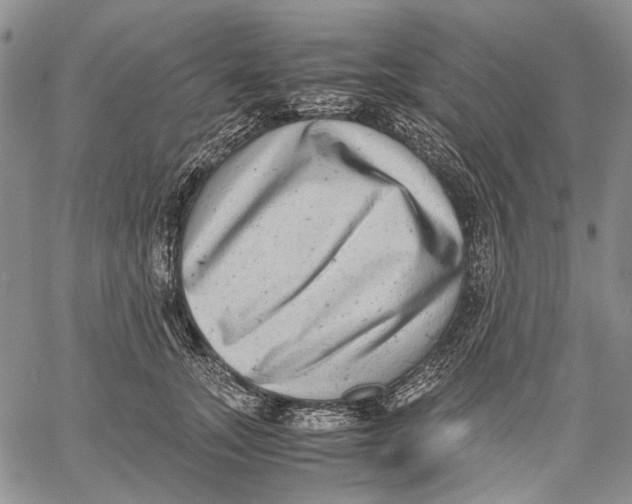 X0000060550755200511241225