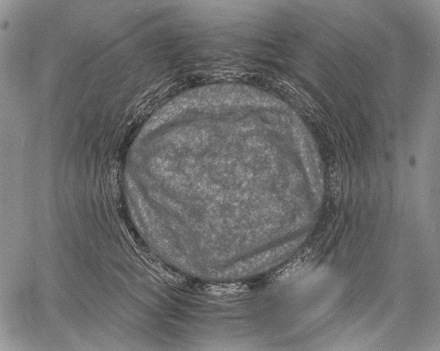 X0000060550757200511241225