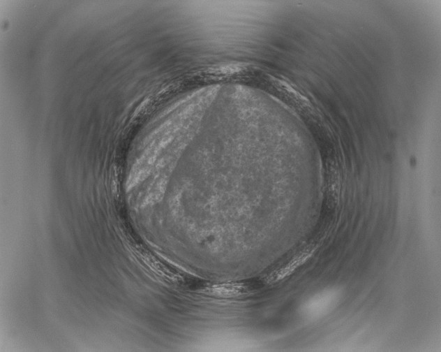 X0000060550758200511241225