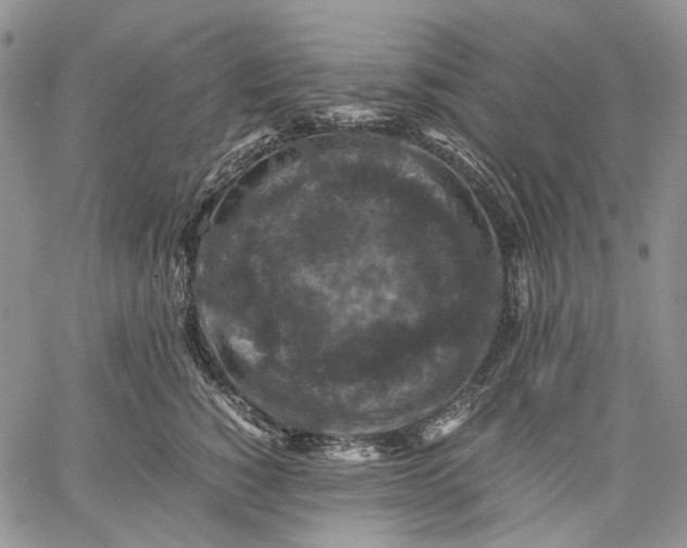 X0000060550760200511241225