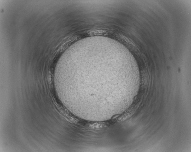 X0000060550761200511241225