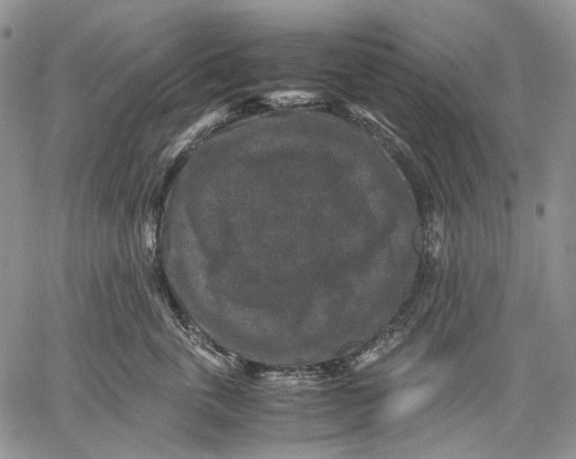 X0000060550763200511241225