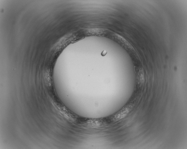 X0000060550764200511241225