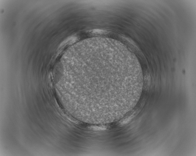 X0000060550765200511241225