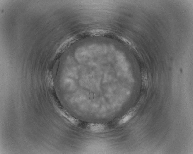 X0000060550766200511241225