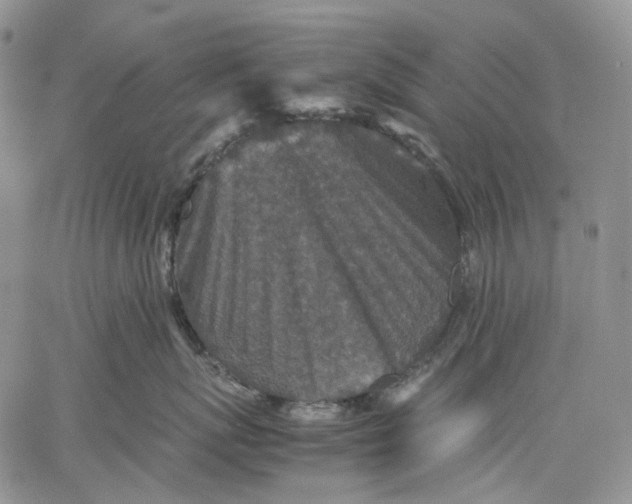 X0000060550767200511241225