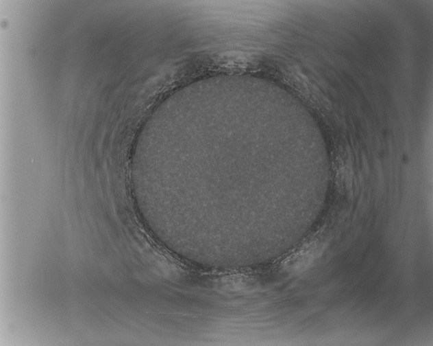 X0000060550769200511241224