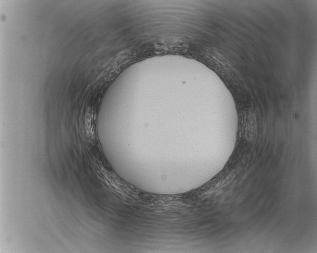 X0000060550770200511241224