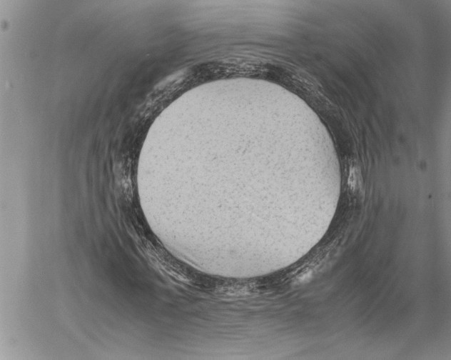 X0000060550771200511241224