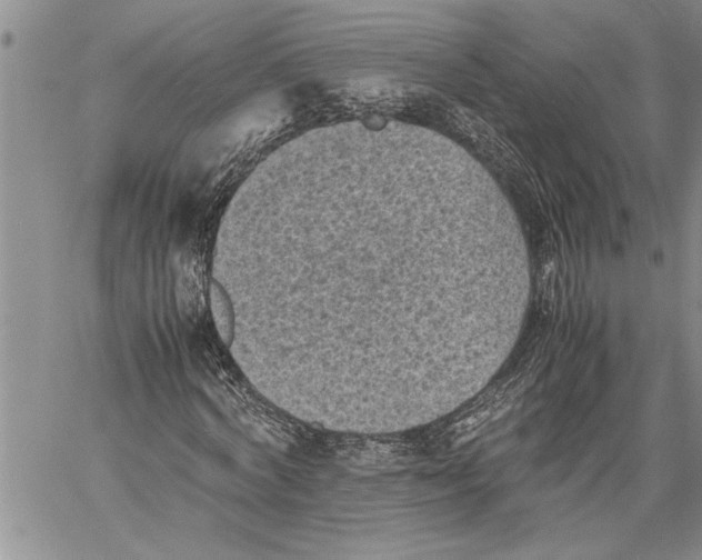 X0000060550772200511241224