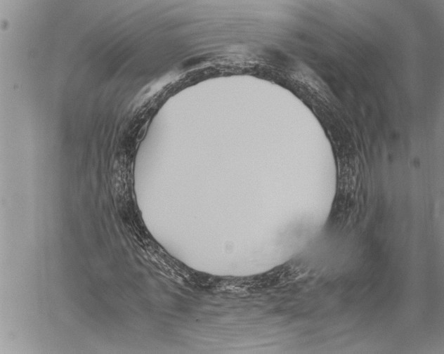 X0000060550773200511241224