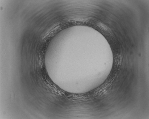 X0000060550774200511241224