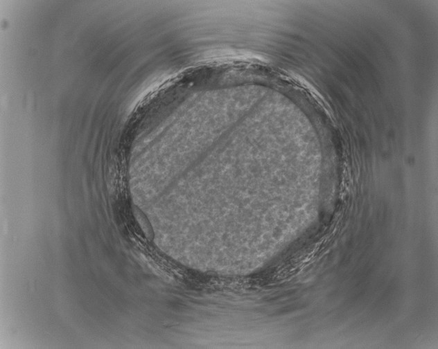 X0000060550775200511241224