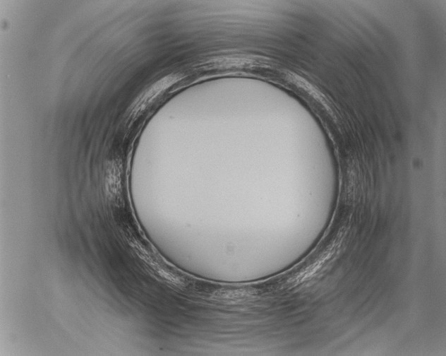 X0000060550778200511241224