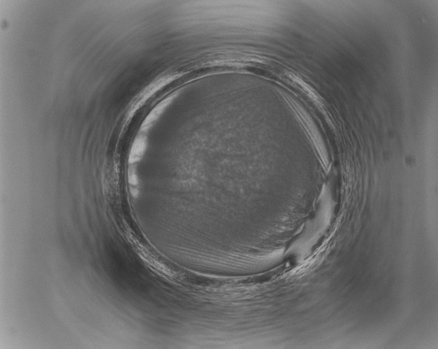 X0000060550779200511241224