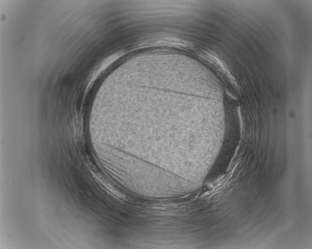 X0000060550780200511241224