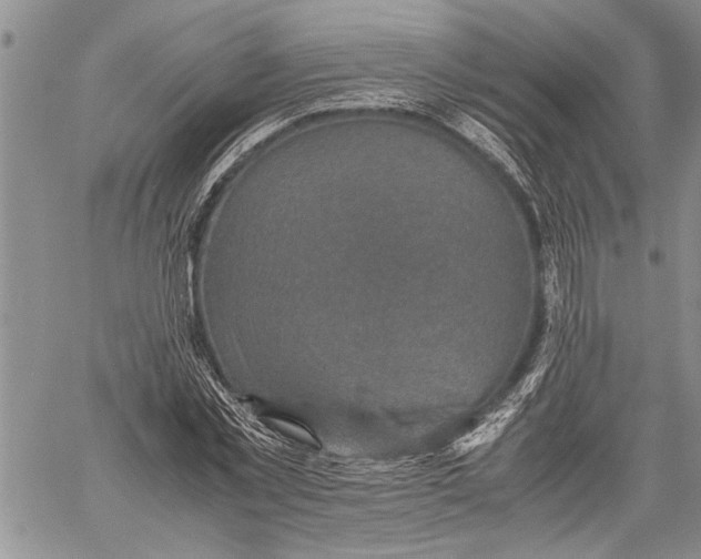 X0000060550781200511241224