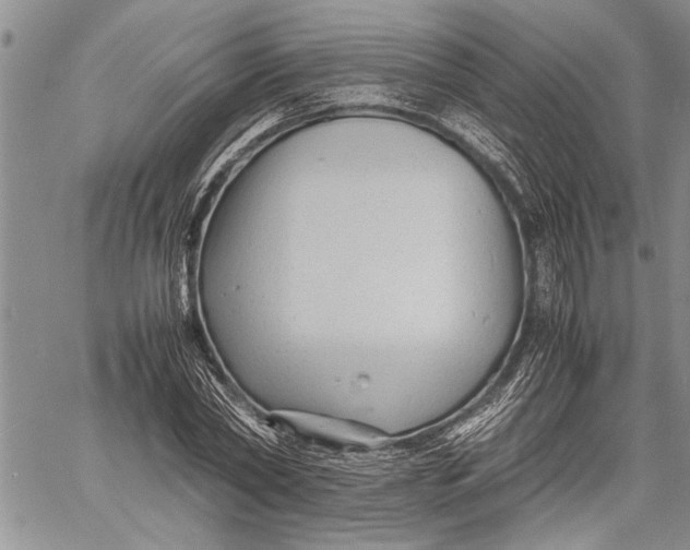 X0000060550782200511241224