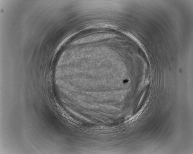 X0000060550783200511241224